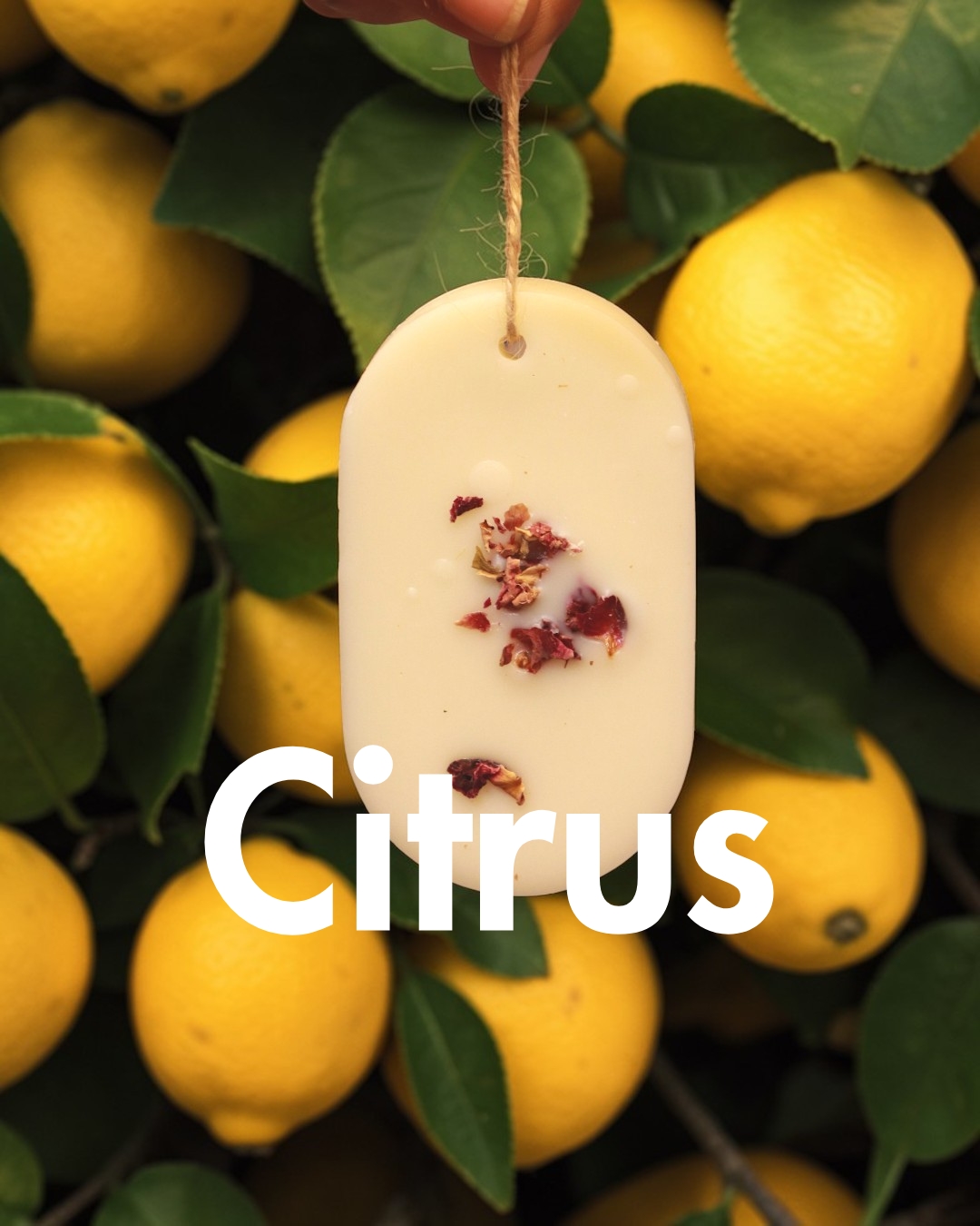 citrus