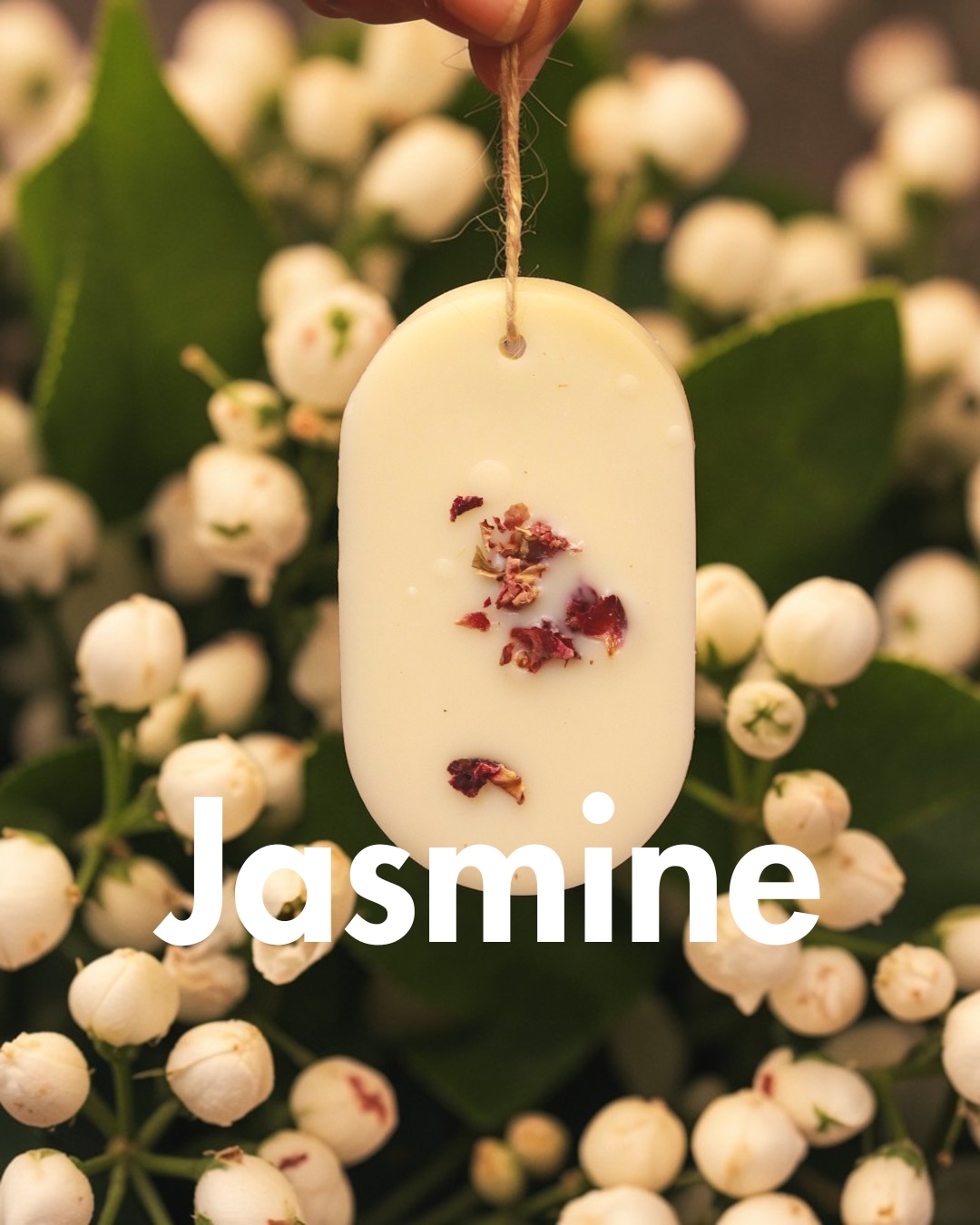 jasmine